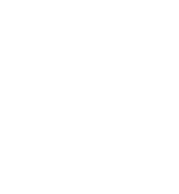 Vetify Logo